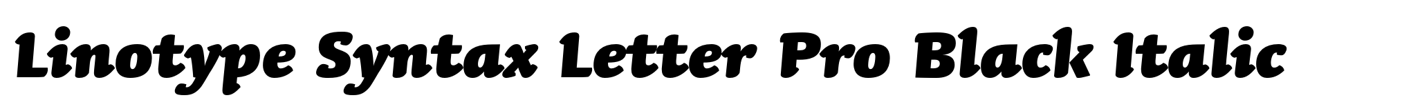 Linotype Syntax Letter Pro Black Italic image